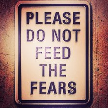 Feed the fears
